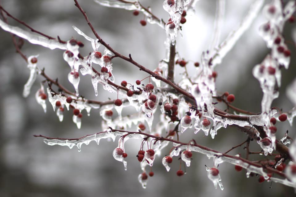 Snow Plowing & Ice Control Pro Edge Lawn Care